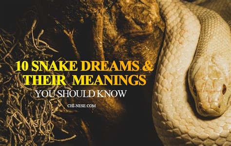 The Symbolism of Snakes in Dreams